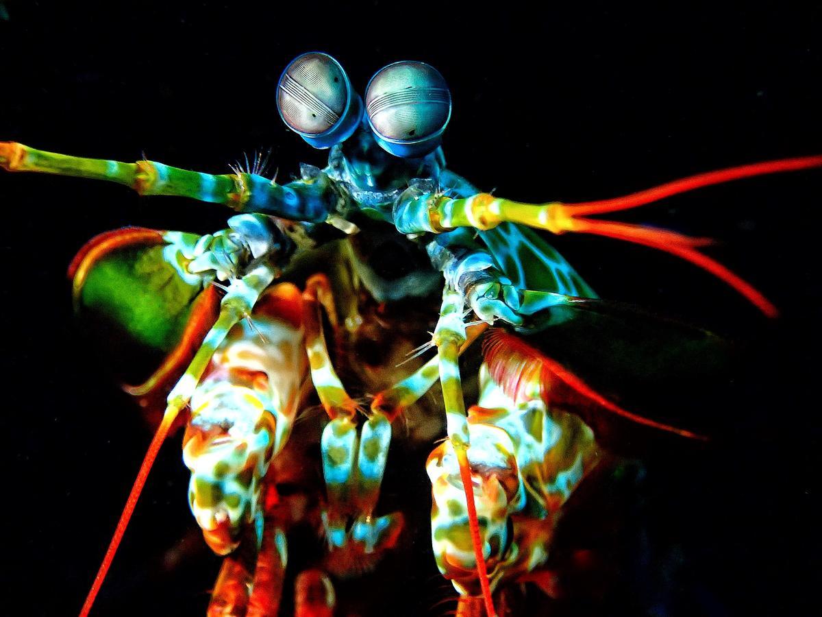 Pebble & Fins Bali Dive Resort Tulamben Екстериор снимка